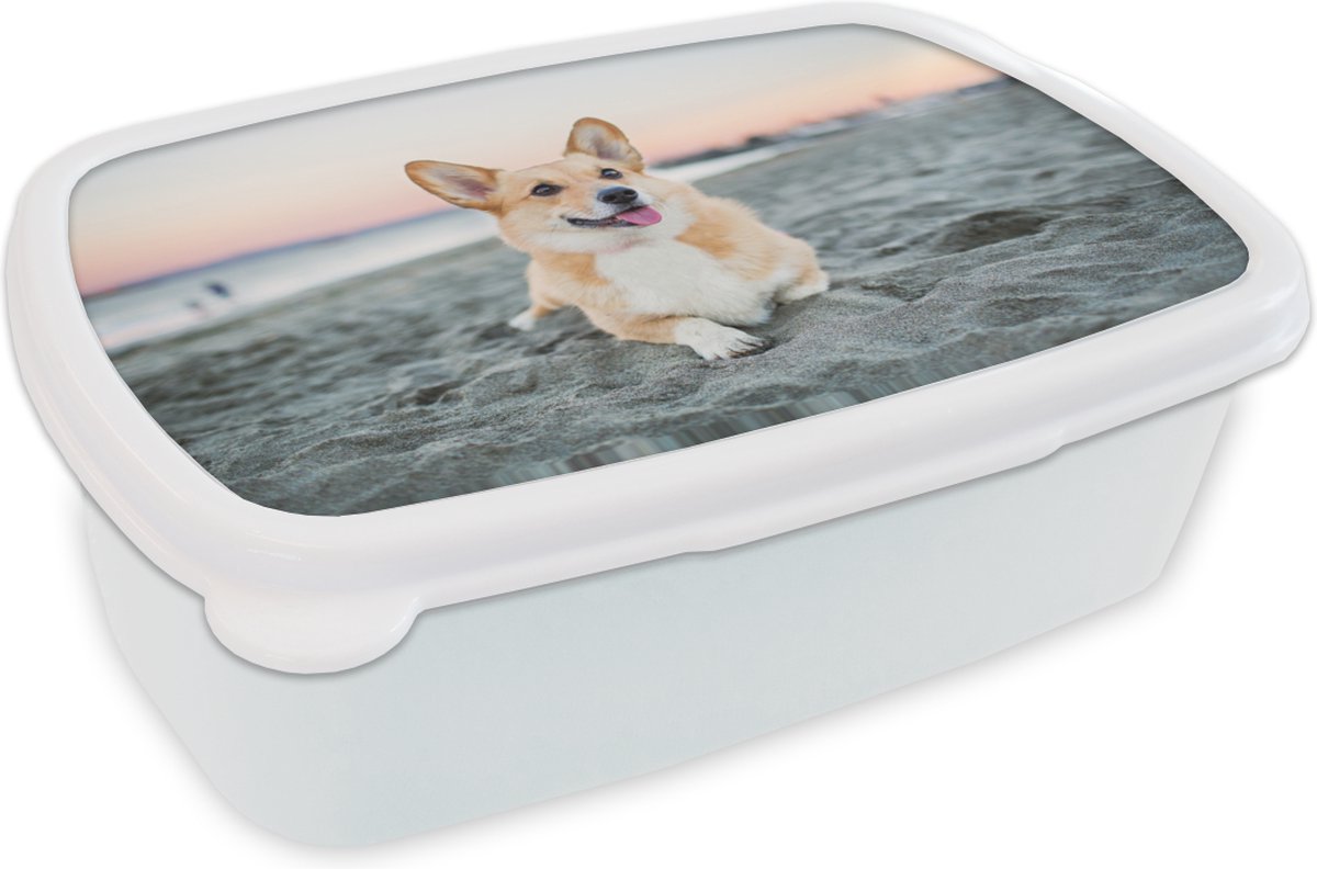 Broodtrommel Wit - Lunchbox - Brooddoos - Hond op het strand - 18x12x6 cm - Volwassenen
