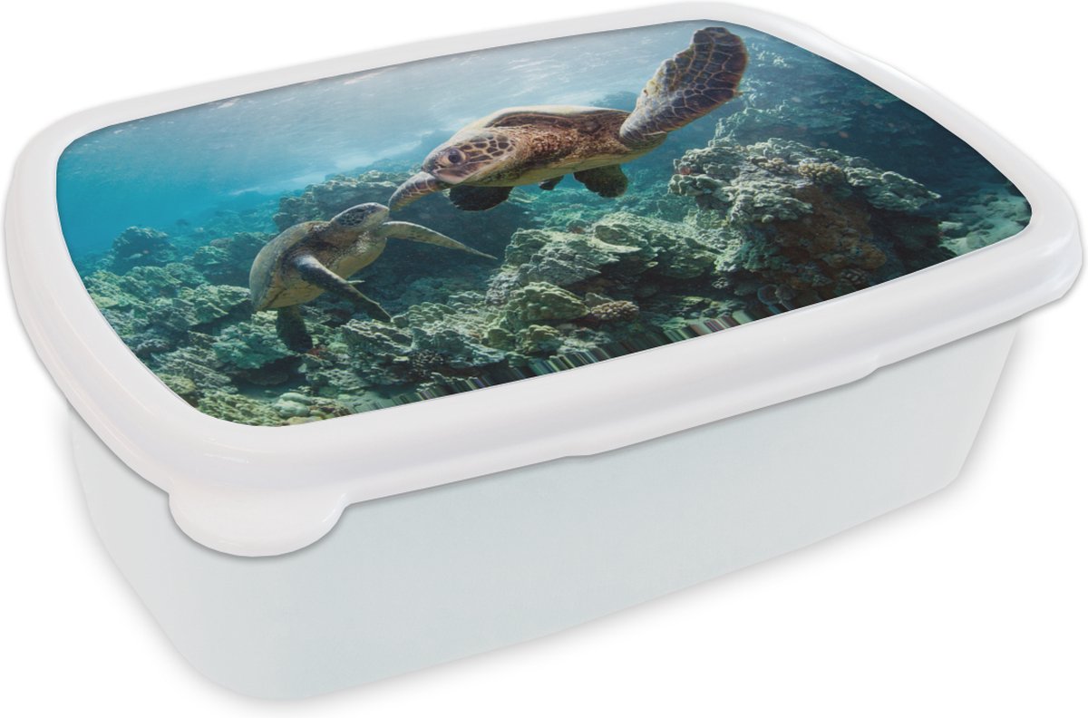 Broodtrommel Wit - Lunchbox - Brooddoos - Twee zeeschildpadden - 18x12x6 cm - Volwassenen