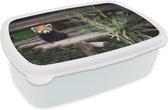Broodtrommel Wit - Lunchbox - Brooddoos - Rode Panda - Bamboe - Boomstammen - 18x12x6 cm - Volwassenen