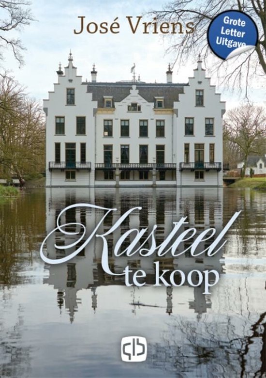 Kasteel te koop - cover