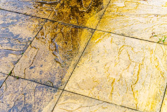Algenverwijderaar - 5L / 300m2 - Verwijderd, bestrijdt en voorkomt groene aanslag, algen en mosgroei op metselwerk, hout, beton & glas - Geen schadelijke nawerking en dampwerking - Sipro Uniquat — afbeelding 2