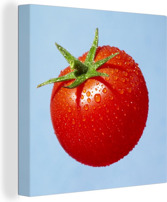 Een rode tomaat met waterdruppeltjes Canvas 20x20 cm - Foto print op Canvas schilderij (Wanddecoratie woonkamer / slaapkamer)