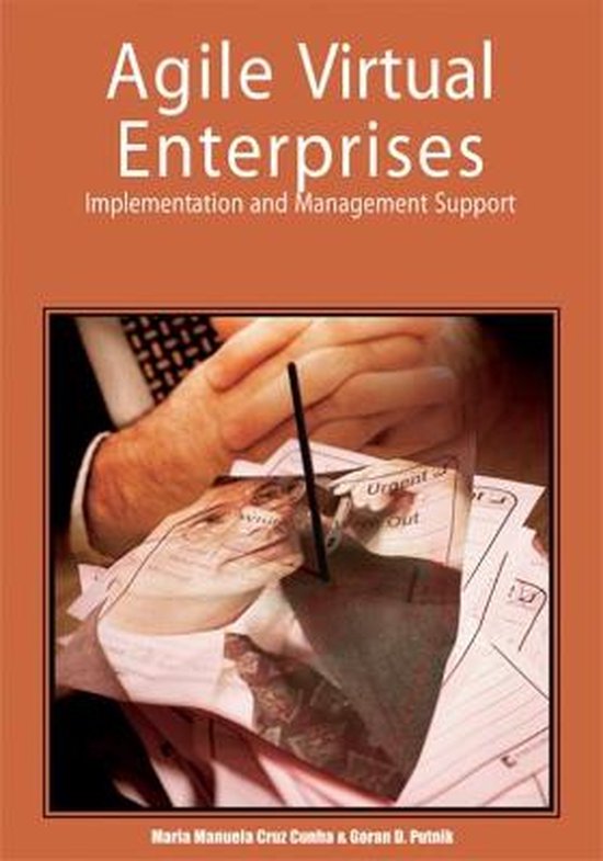 Agile Virtual Enterprises - cover