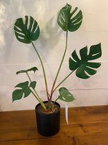 Sierplant Kunstplant - Nep Plant - Monstera deliciosa - Ceriman of Adam's rib - Pot ⌀18cm - Hoogte ↕ 70cm