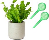 Waterbol (S) - Groen - Set 2 stuks -  Waterdruppelaar, plantdruppelaar, watergeefsysteem, druppelsysteem, bewateringssysteem voor blije planten
