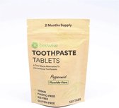 Tandpasta Tabletten | Zonder Fluriode | Zonder SLS en Microplastic | Zero Waste & Plasticvrij | Toothpaste Tablets | Fresh Mint | 120 Tabletten