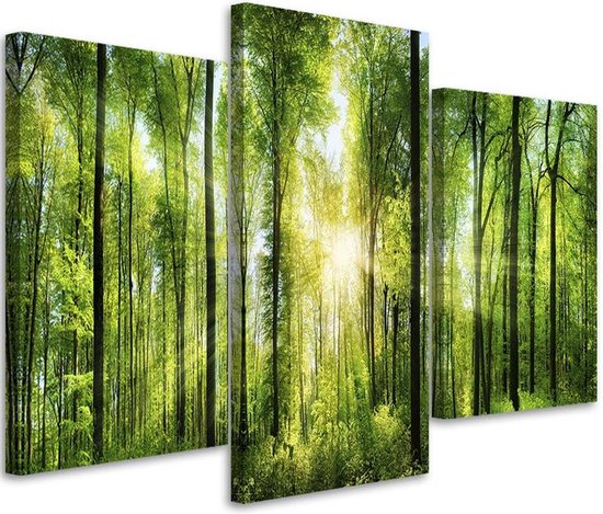 Trend24 - Canvas Schilderij - Zonnestralen In Het Bos - Drieluik - Landschappen - 150x100x2 cm - Groen