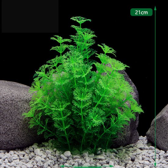 gelijkheid Duplicatie pond ✿BrenLux - Aquarium decoratie – Koraal groen - Kunstplant Aquarium 21cm -  Planten voor... | bol.com