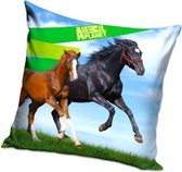 Animal Planet Paarden Sierkussens - Kussen - 40 x 40 inclusief vulling - Kussen van Polyester - KledingDroom®