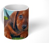 Mok - Koffiemok - Prachtige lucht boven een schattige Teckel puppy - Mokken - 350 ML - Beker - Koffiemokken - Theemok