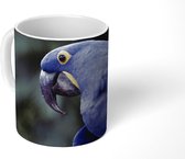 Mok - Zijkant van een hyacintara - 350 ML - Beker