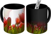 Magische Mok - Foto op Warmte Mok - Rode tulpen en het zonlicht - 350 ML