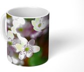 Mok - Witte primula's - 350 ML - Beker