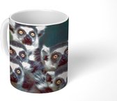 Mok - Apen - Dieren - Ringstaartmaki's - 350 ML - Beker
