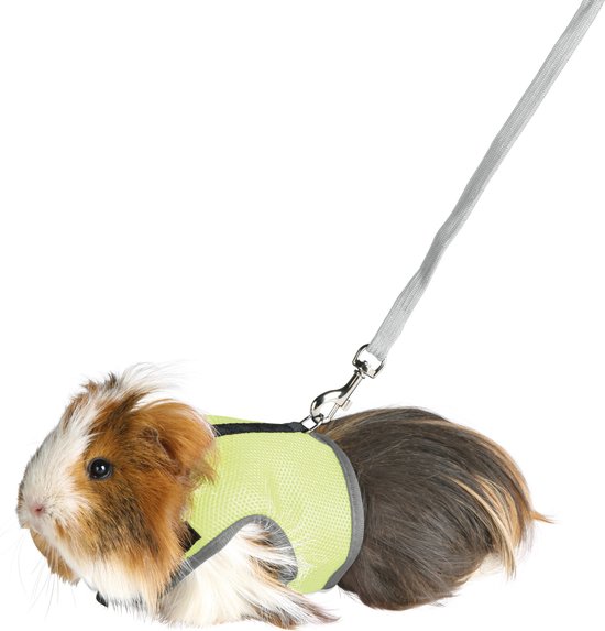 Foto: Trixie softtuig met riem cavia geel 18 25 cm 120 cm