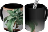 Magische Mok - Foto op Warmte Mok - Cactussen op plank - 350 ML
