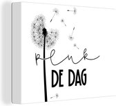 Citation de peinture sur toile - Saisir le jour - Pissenlit - 40x30 cm - Décoration murale