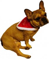 Kersthalsband Hond/Kat - Dierenkleding - Rood/Wit - 25 cm