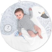 Skip Hop - Little Swan Playmat W. Milestone Cards /textile And Interior