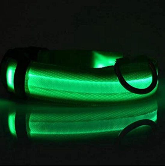 Collier lumineux pour chien - Collier LED - Taille M - 40/48 cm - Siècle des Lumières Chiens - Eclairage chien - Collier chien avec piles - Eclairage Chiens - Vert
