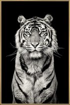 JUNIQE - Poster met kunststof lijst Head of the Pack -40x60 /Grijs &