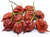 Peper zaden - Carolina Reaper Caramel