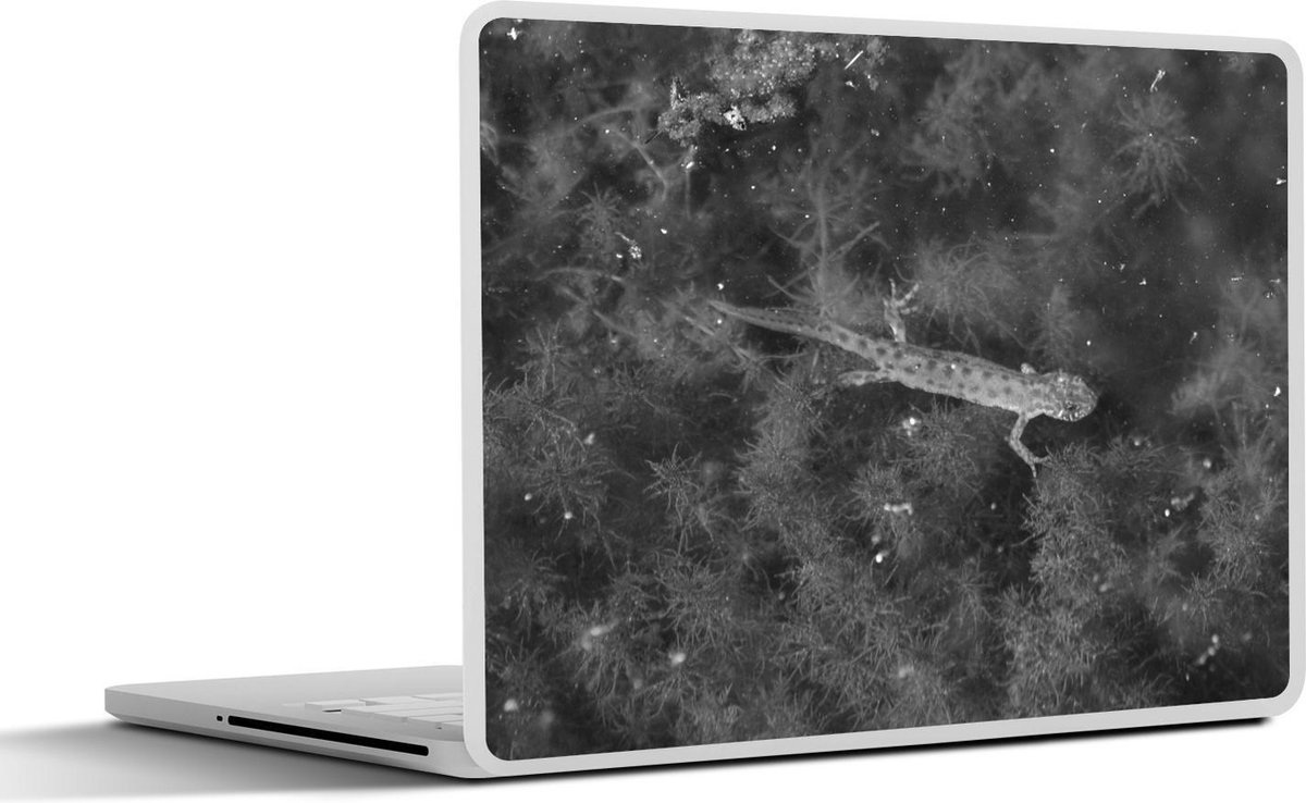 Afbeelding van product SleevesAndCases  Laptop sticker - 10.1 inch - Salamander zwemt in het water - zwart wit