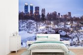 Behang - Fotobehang New York - Central Park - Winter - Breedte 385 cm x hoogte 280 cm
