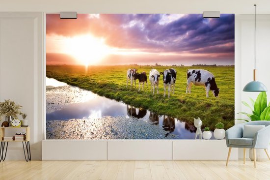 Behang - Fotobehang Koeien tijdens een zonsondergang - Breedte 420 cm x hoogte 280 cm