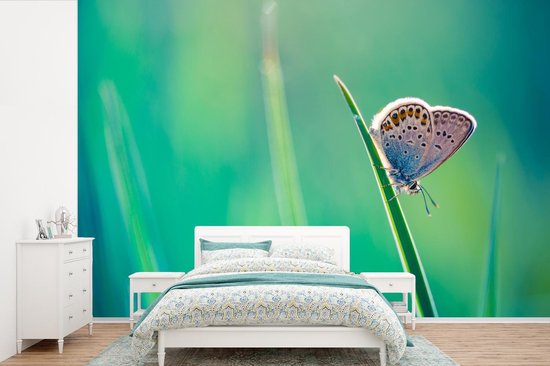 Papier peint photo peint photo vinyle - Papillon sur brin d'herbe largeur 330 cm x hauteur 220 cm - Tirage photo sur papier peint (disponible en 7 tailles)