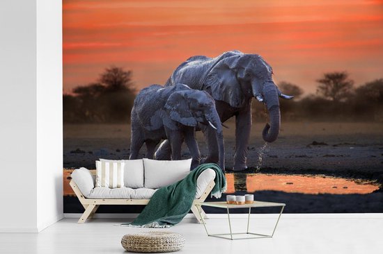 Behang - Fotobehang Twee olifanten bij zonsondergang - Breedte 330 cm x hoogte 220 cm