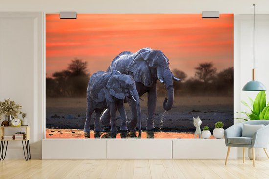 Behang - Fotobehang Twee olifanten bij zonsondergang - Breedte 330 cm x hoogte 220 cm