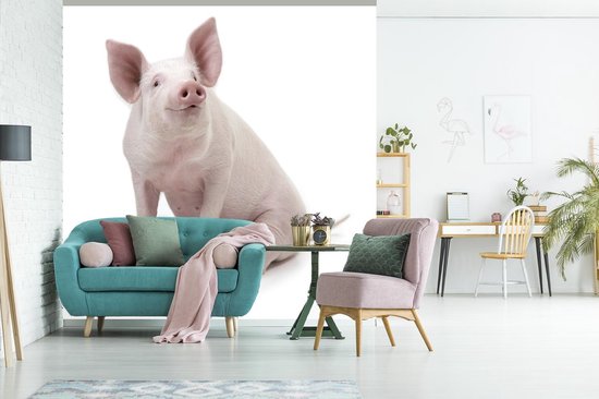 Papier peint photo peint photo vinyle - Porcinet pour fond blanc largeur 240 cm x hauteur 240 cm - Tirage photo sur papier peint (disponible en 7 tailles)