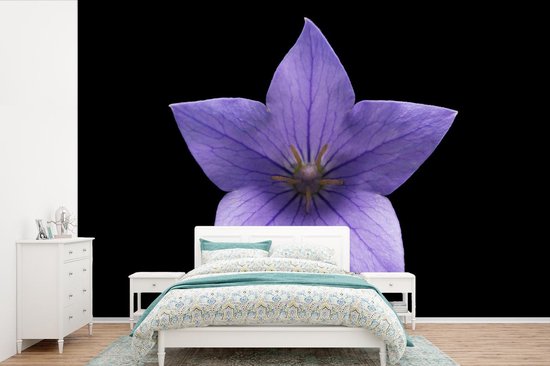 Papier Peint - Papier Papier peint photo Forme - Fleurs - Violet - Largeur 420 cm x Hauteur 280 cm