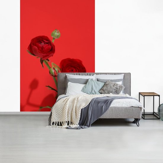 Papier peint photo vinyle - Renoncules rouges sur fond rouge largeur 200 cm x hauteur 300 cm - Tirage photo sur papier peint (disponible en 7 tailles)