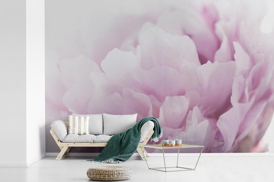 Papier peint Papier peint photo en vinyle - Gros plan d'une pivoine rose largeur 330 cm x hauteur 220 cm - Tirage photo sur papier peint (disponible en 7 tailles)