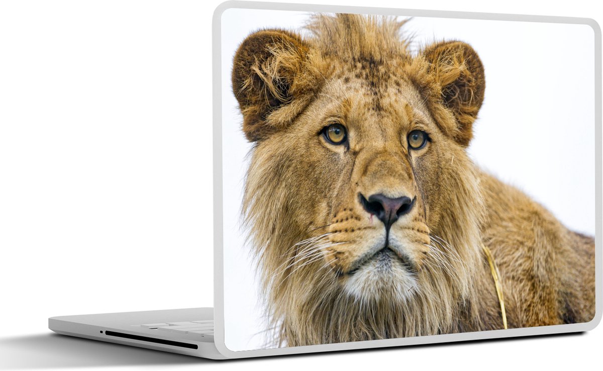 Laptop sticker - 14 inch - Leeuw - Potret - Vacht - 32x5x23x5cm - Laptopstickers - Laptop skin - Cover