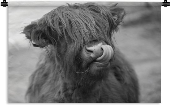 Wandkleed - Wanddoek - Schotse hooglander likt zijn lippen - zwart wit - 60x40 cm - Wandtapijt