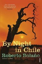 By Night In Chile