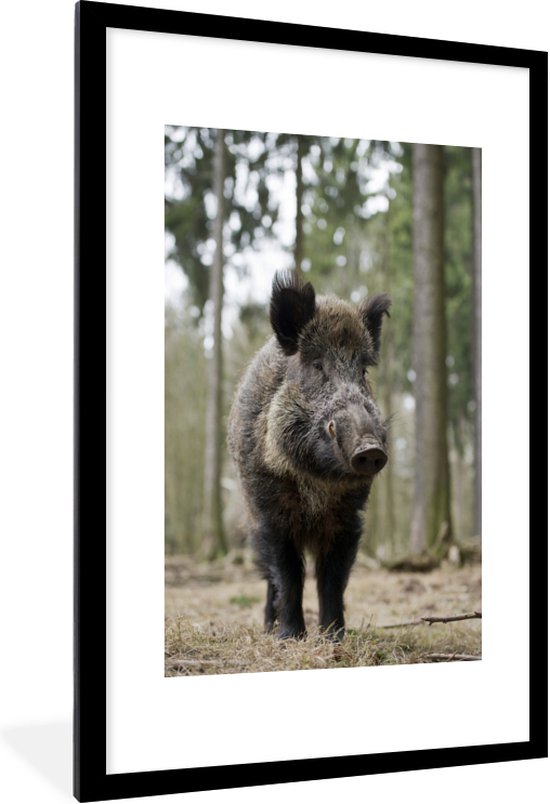 Sanglier entre les arbres 60x90 cm