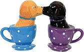 Originele peper en zoutstel “Tea cup Labs”