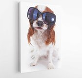 Canvas schilderij - Funny dog with sunglasses can illustrate traveling or any other concept. Funny king charles spaniel dog. Funniest Cavalier dog. Cute studio photo.  -     656448