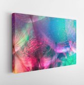Canvas schilderij - Colorful Pastel background - Vivid color abstract dandelion flower - extreme closeup with soft focus, beautiful nature details, very shallow depth of field -