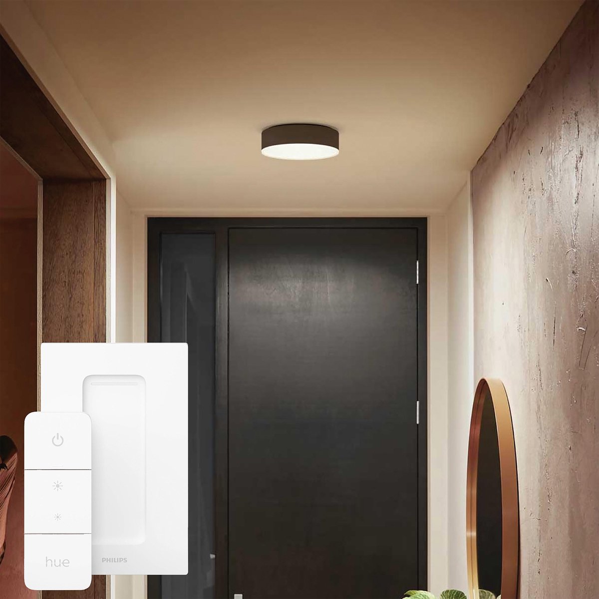 Plafonnier Philips Hue Xamento LED Noir, Blanc 8719514452251