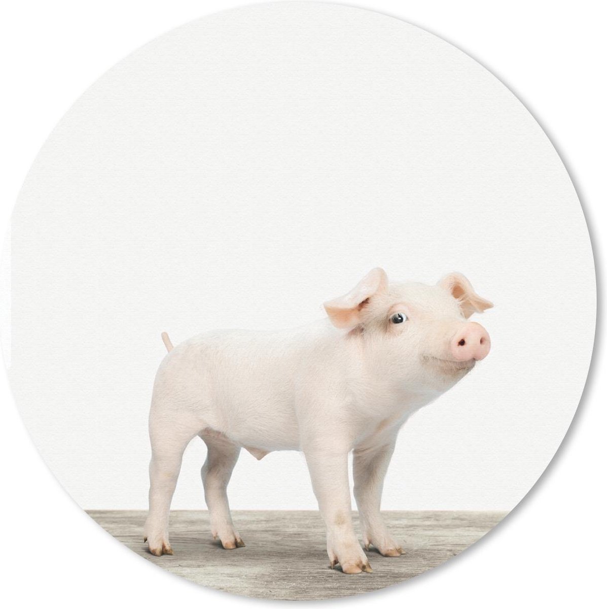 Muismat rond 40x40 cm - Mousepad Dieren - Varken - Baby - Ronde muismatten