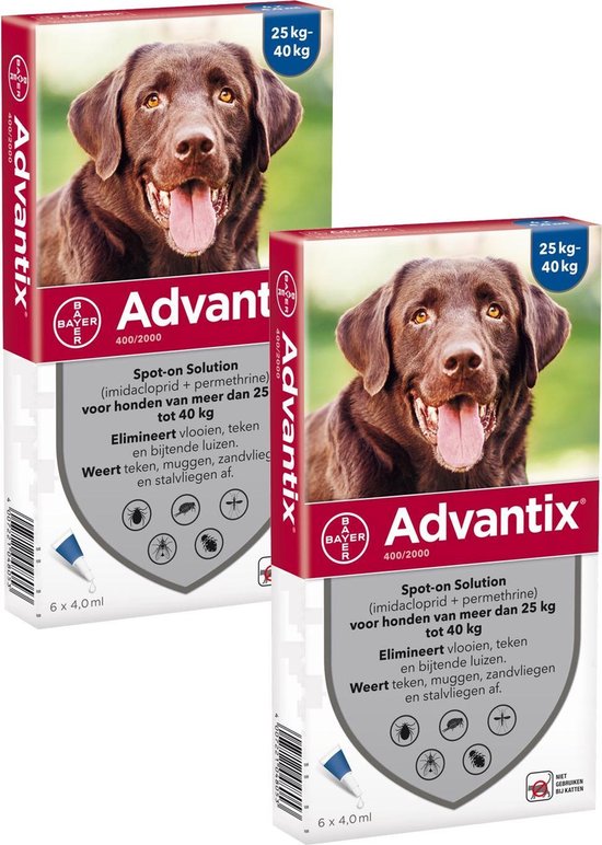 Bayer Advantix Vlooien & Teken Pipetten - Hond 24 tot 40kg - 2 x 6 stuks |  bol.com
