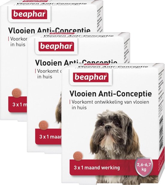 bitter Percentage Wakker worden Beaphar Vlooien Anti Conceptie Hond - Anti vlooienmiddel - 3 x Small |  bol.com