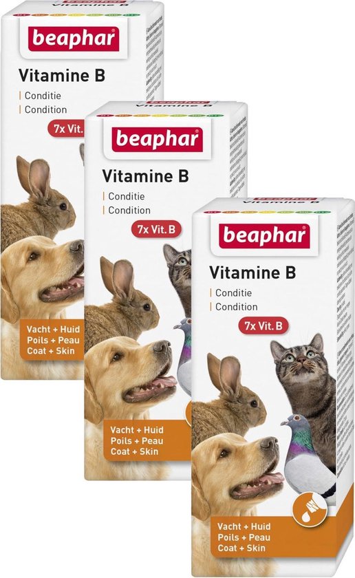 Beaphar Vitamine B-Complex - Voedingssupplement - Weerstand - 3 x 50 ml |  bol