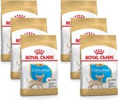 Royal Canin Bhn Chihuahua Puppy - Nourriture pour chiens - 6 x 500g