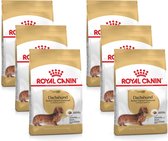 Royal Canin Bhn Dachshund Adult - Hondenvoer - 6 x 1.5 kg